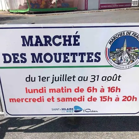 Apartament 61, Vue Mer, Wifi, Parking Prive