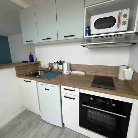 61, Vue Mer, Wifi, Parking Prive דירה סנט-אילר-דה-רייה